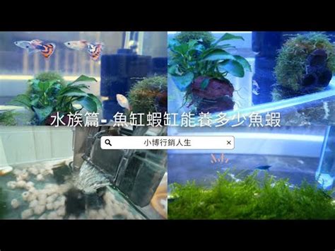 魚缸計算水量|【魚缸計算水量】魚缸水量誤差大？快用「魚缸計算水量」神器，。